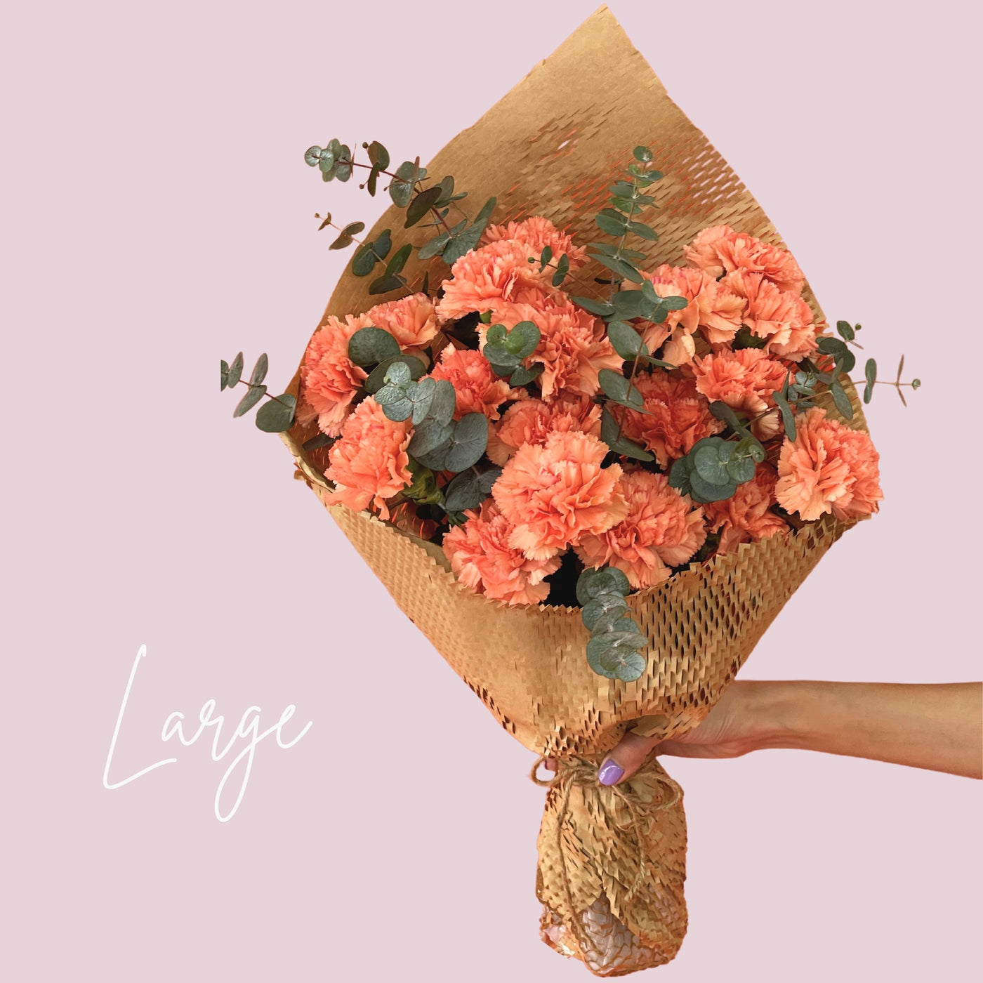 Orange Carnation