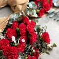 Red Carnation Bouquet - Happy Bunch Malaysia (1102420U)