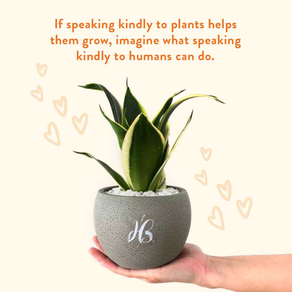 11 reasons why we should be thankful - Happy Bunch