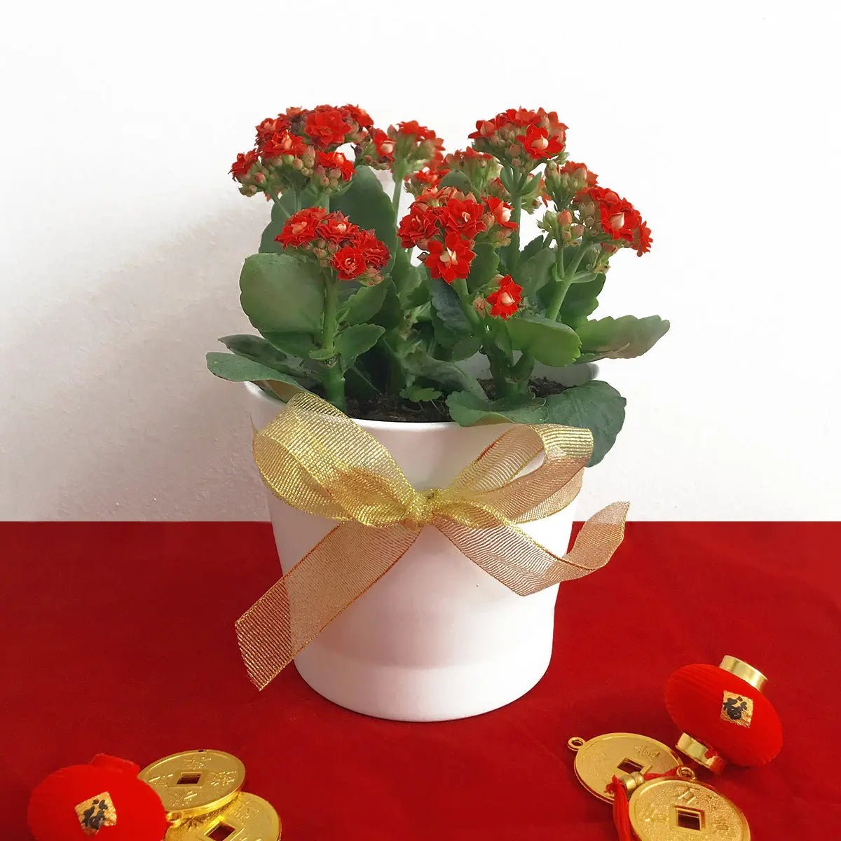 8 Prosperous Plants and Flowers to Bring Prosperity to Your Home for Chinese New Year - Happy Bunch