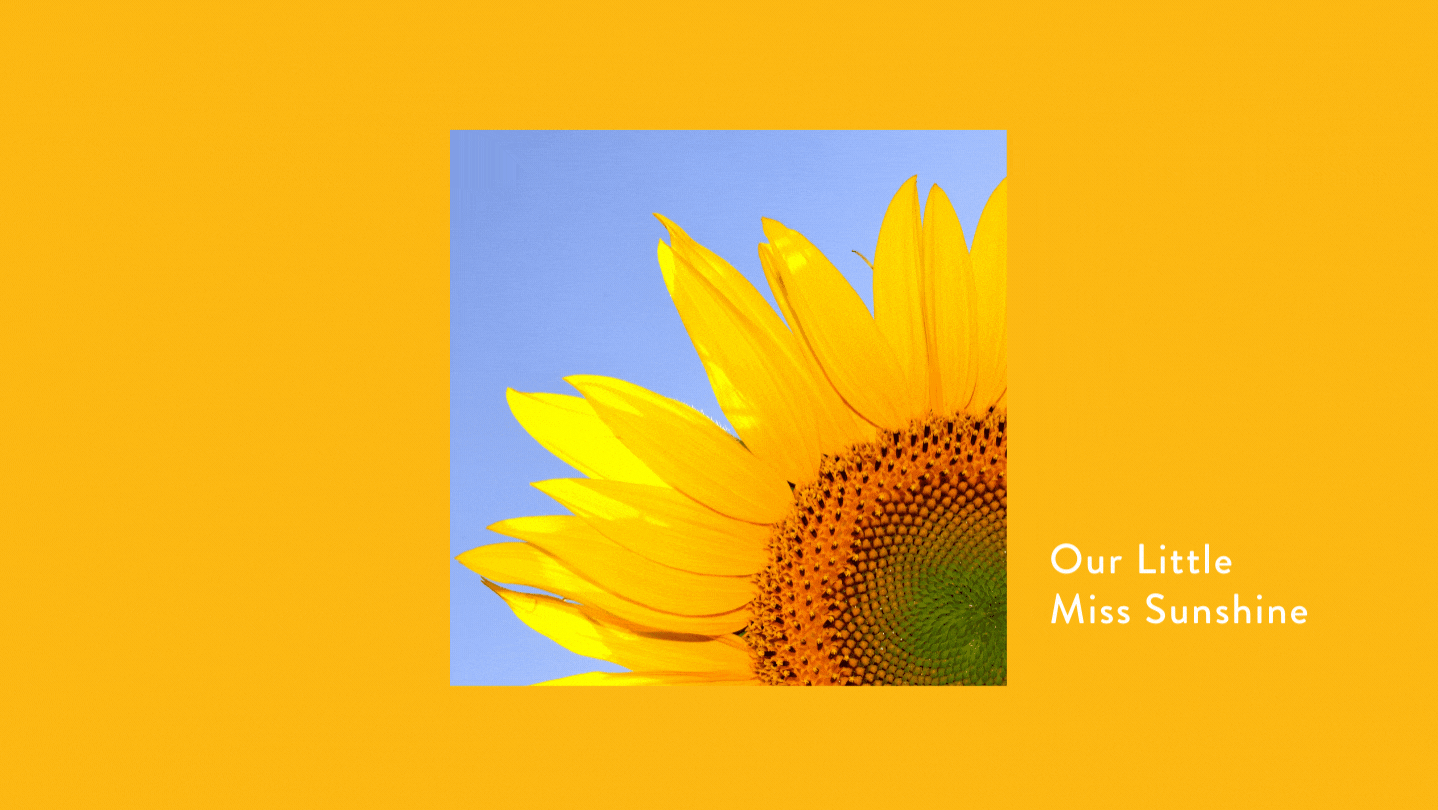 A message from our CEO as we enter Q4 2021 - Happy Bunch