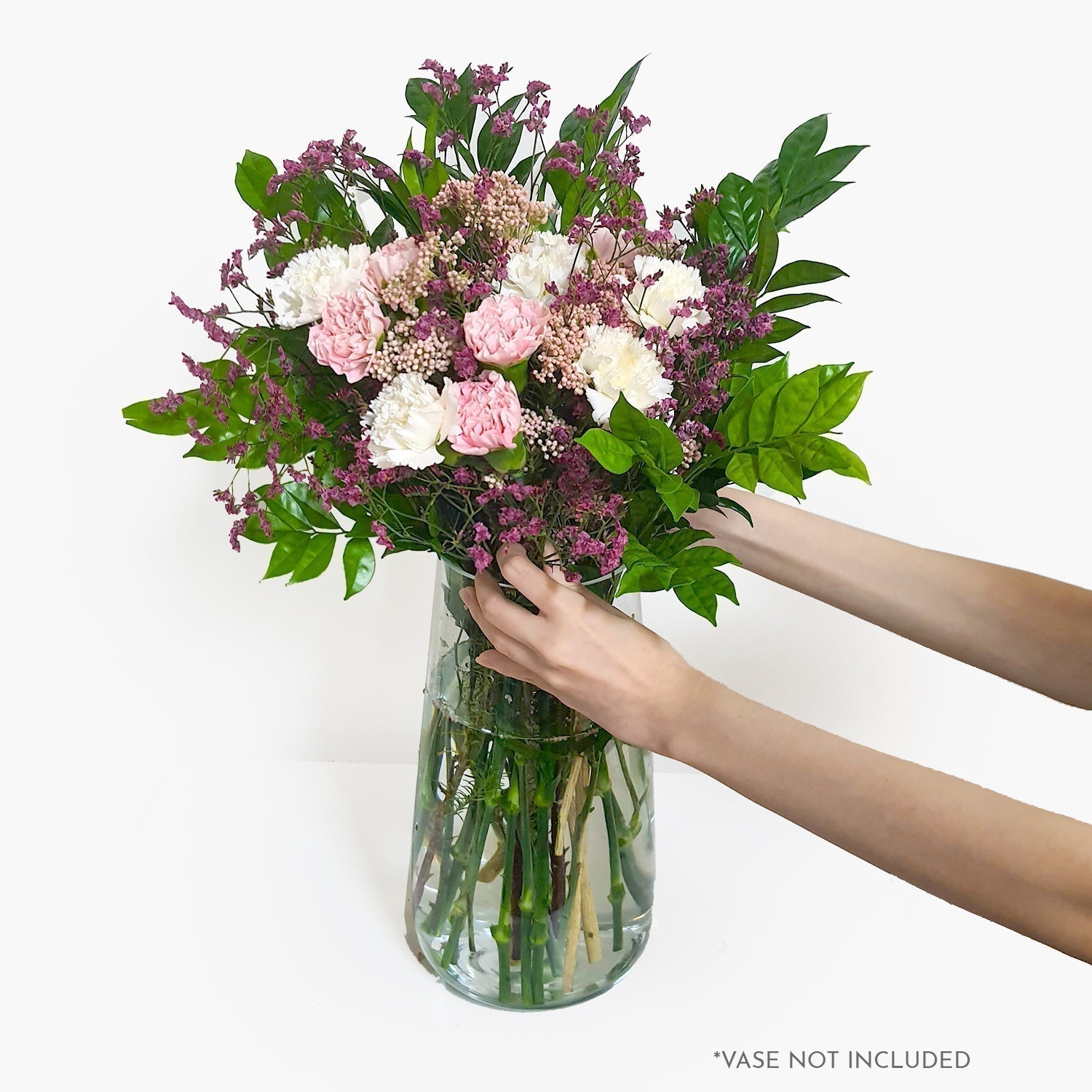 Carnation 101: The Carnation Flower & Their Meanings In Different Parts Of The World - Happy Bunch