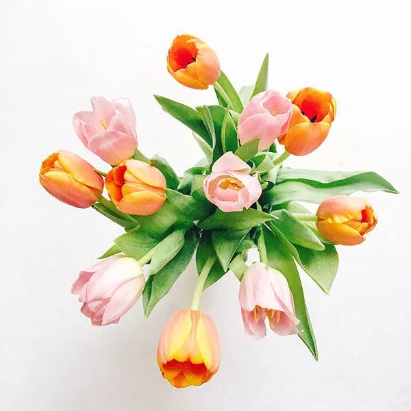 #FlowerFunFact: Tulip 🌷 - Happy Bunch
