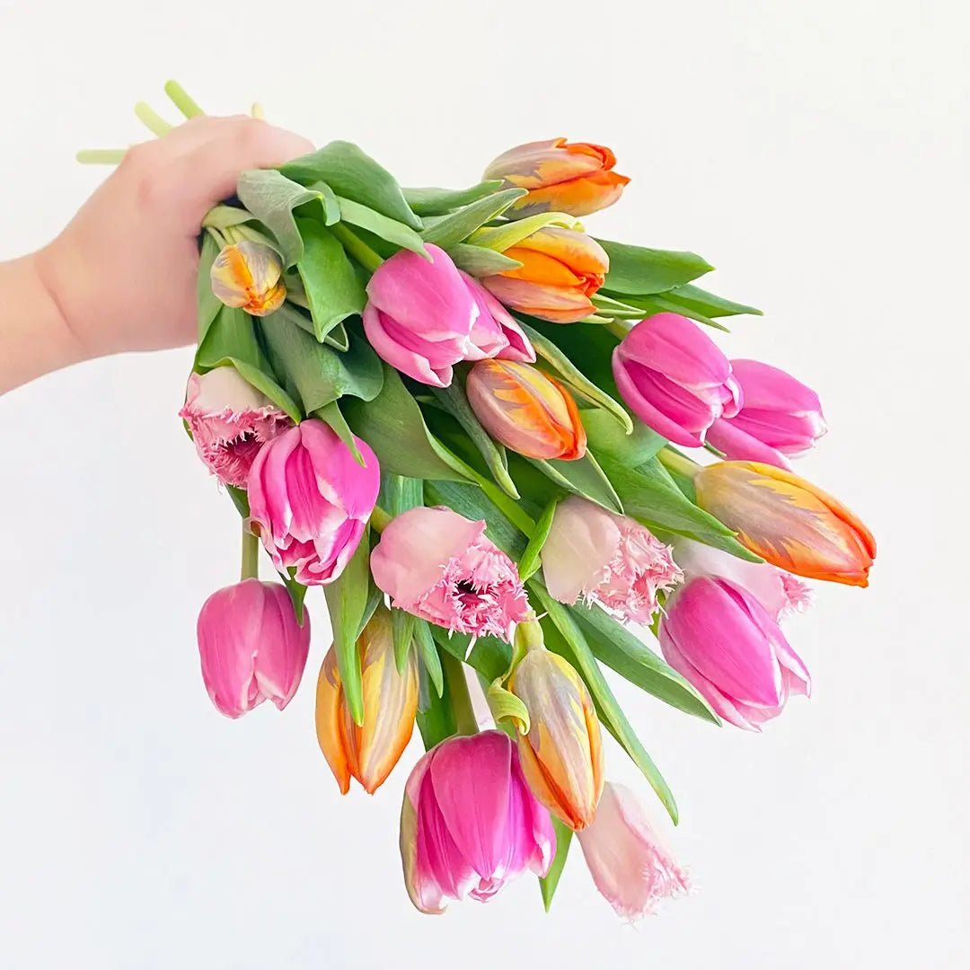 For the love of Tulips - Happy Bunch