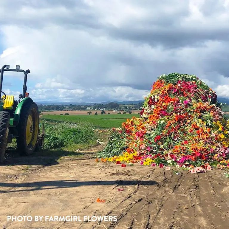 How COVID-19 Affected Us - Happy Bunch