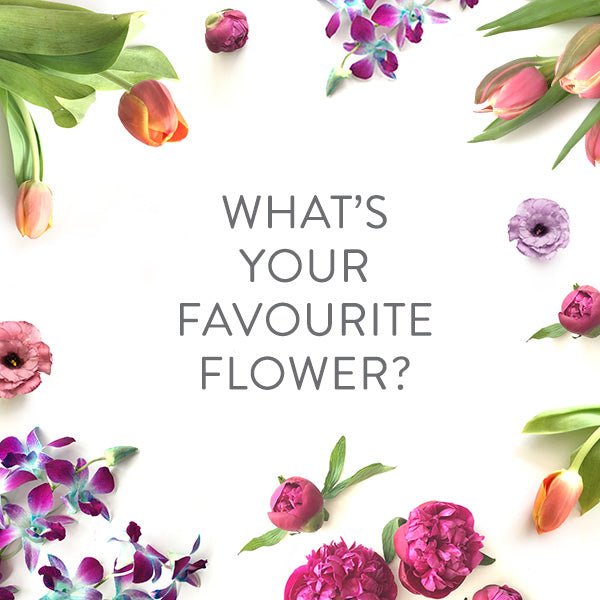 Never miss your favourite flowers again - Happy Bunch