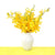 Orchids 101: Different Types & How To Care For Them - Happy Bunch