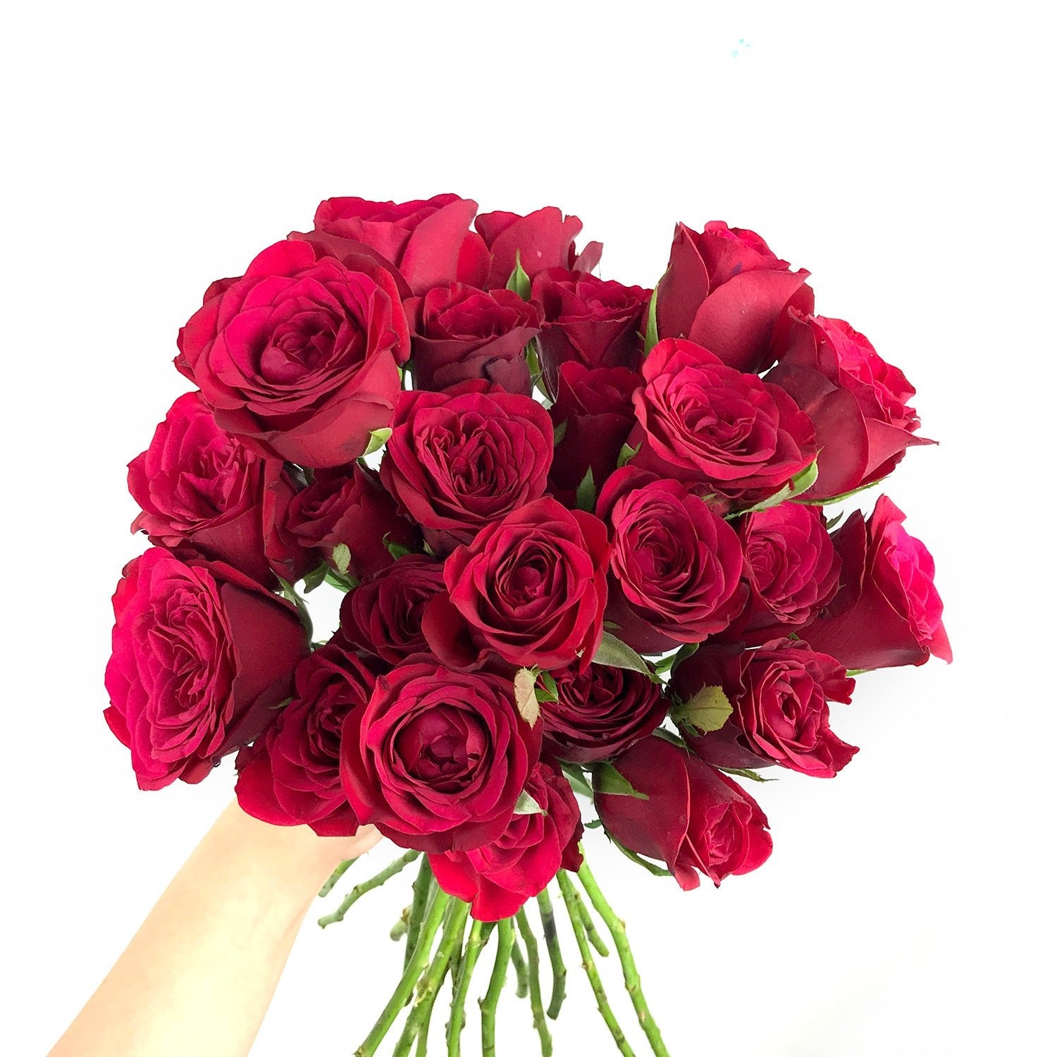Valentina Red Roses Bouquet Of Red Roses Valentines