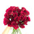 Significance of Red Roses on Valentine’s Day - Happy Bunch