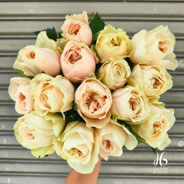 The Splendor of David Austin Roses