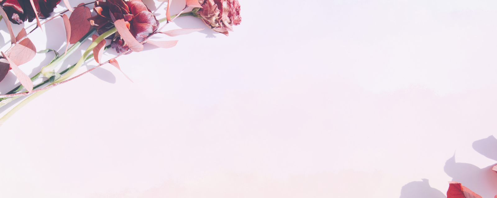 International Women's Day