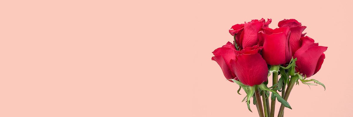 Anniversary Flowers & Gifts