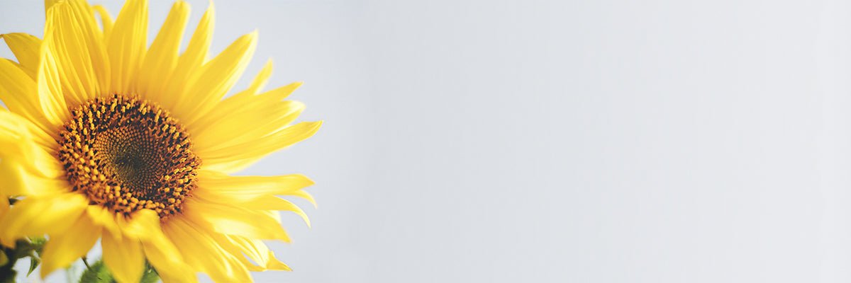 Flower Bouquets & Gifts Below RM100