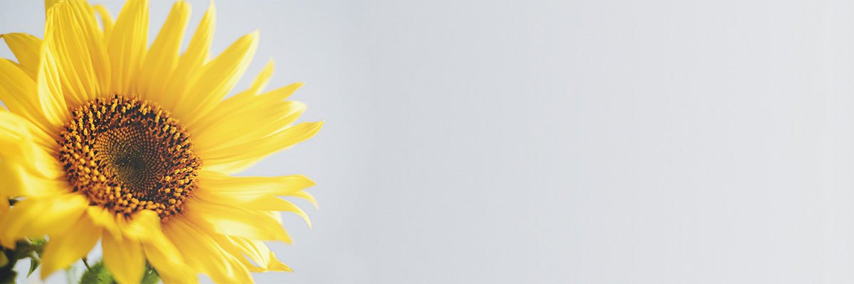 Get-Well Soon Flower Bouquets