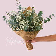 Baby's Breath view 4