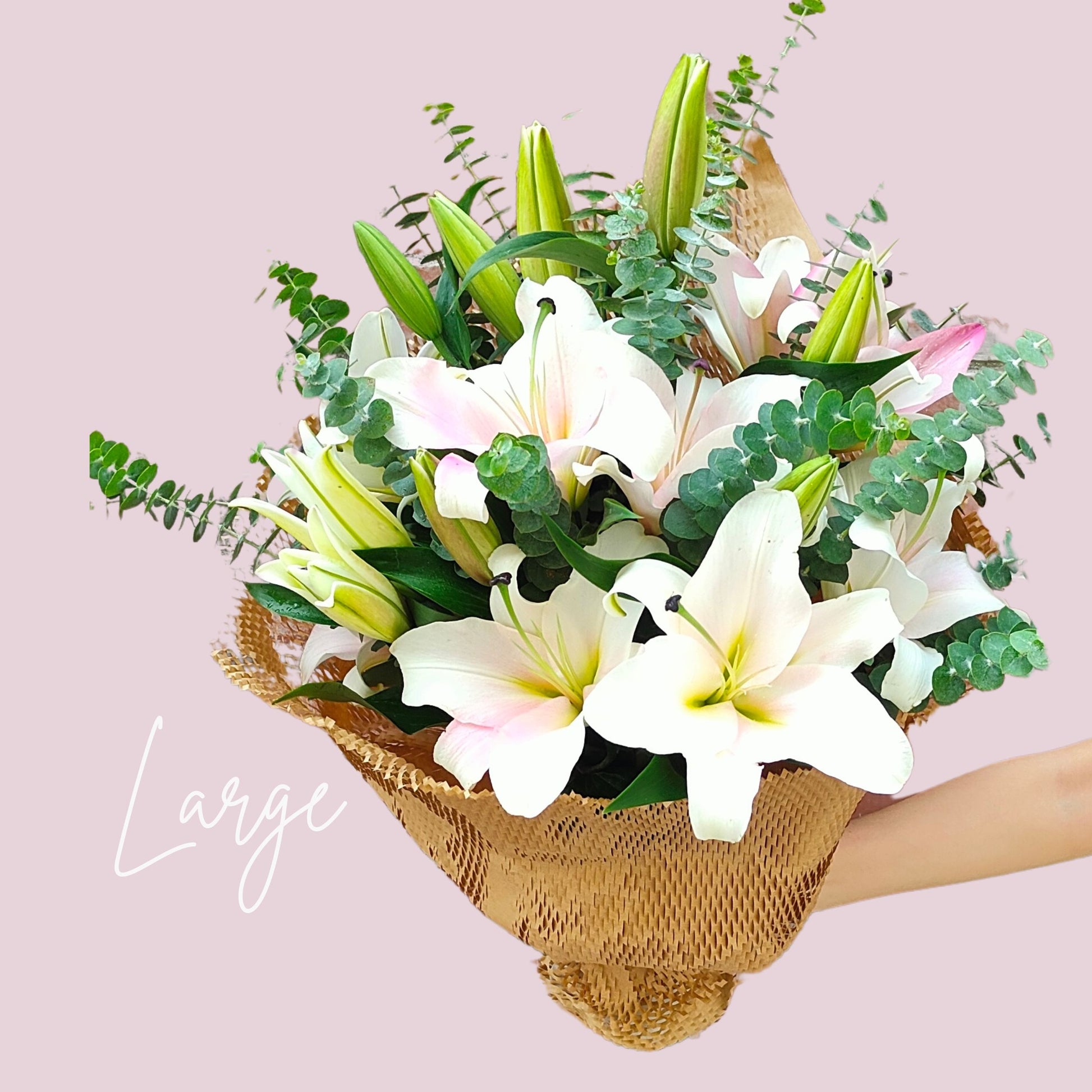 Lily Happy Bunch