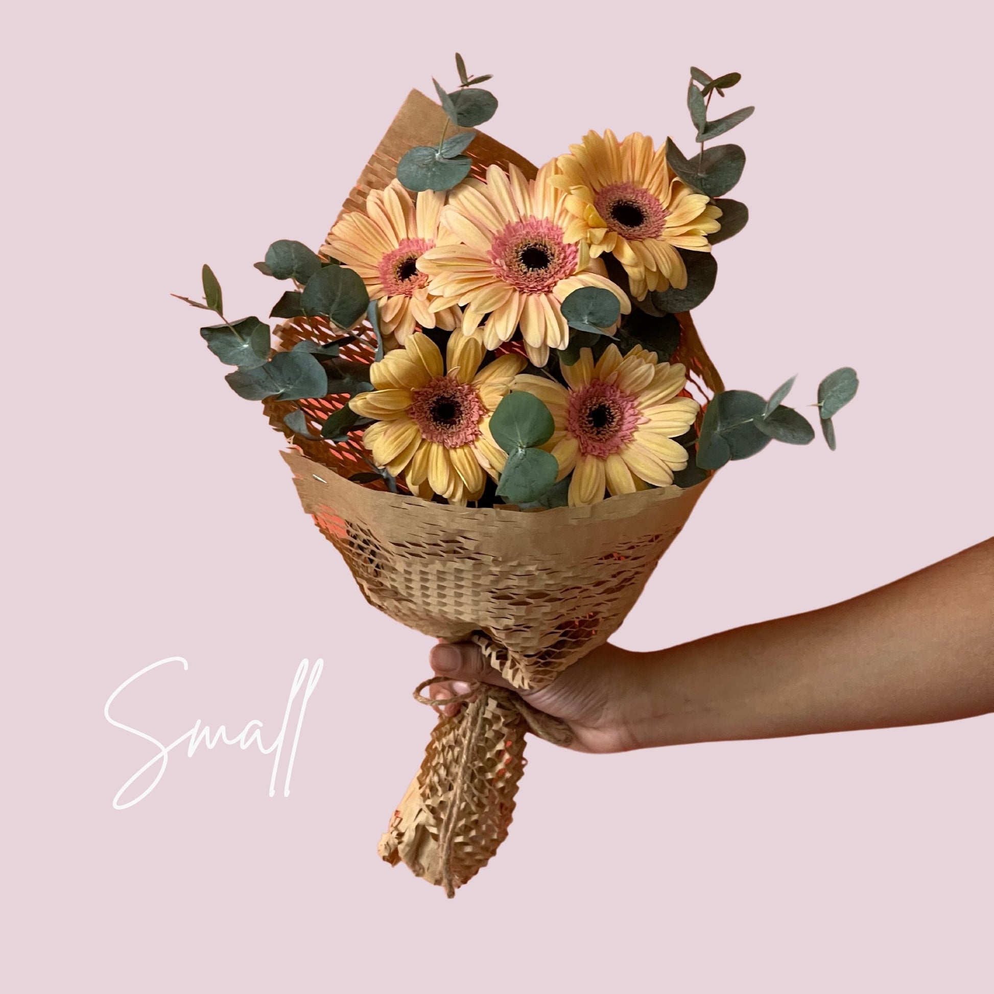 Peach Gerbera Happy Bunch