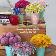Mini Flower Bundles view 2