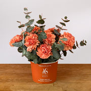 Orange Carnation Table Top view 2