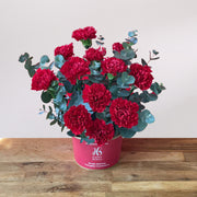 Red Carnation Table Top view 2