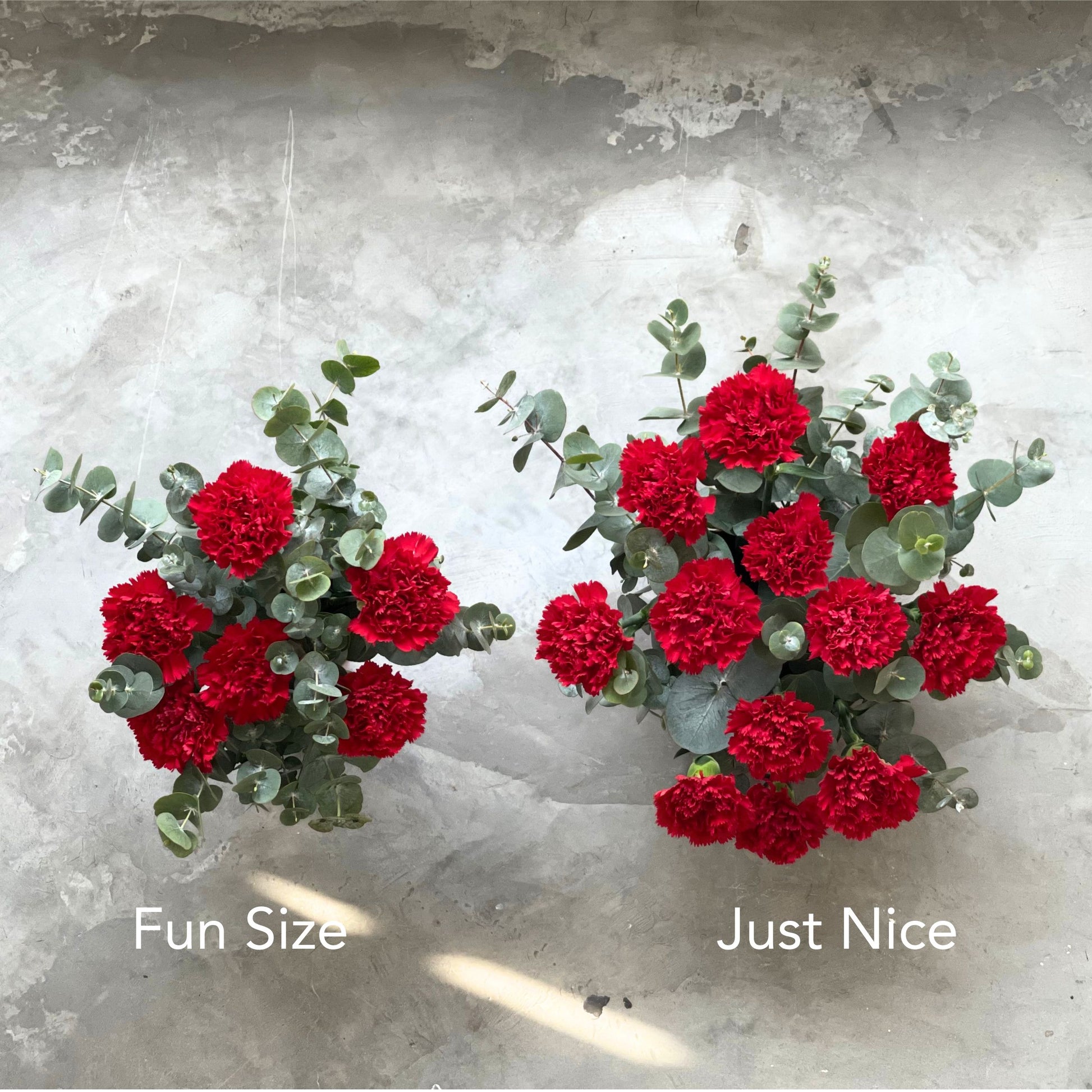 Red Carnation Table Top Happy Bunch