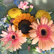 Sunshine view 5