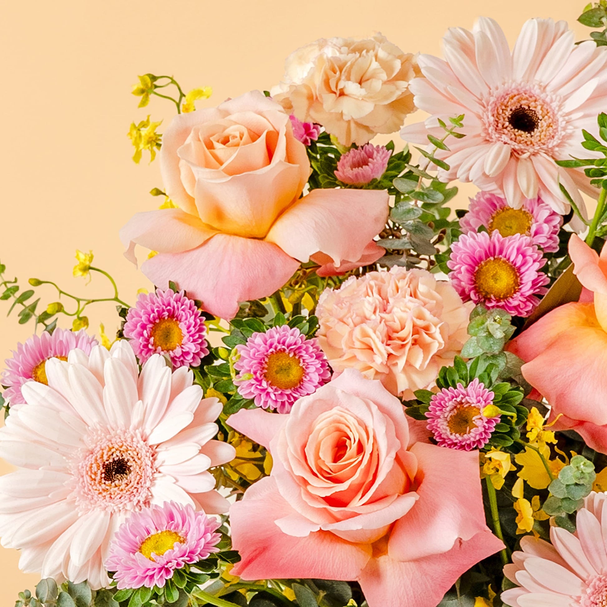 Treasure Happy Bunch