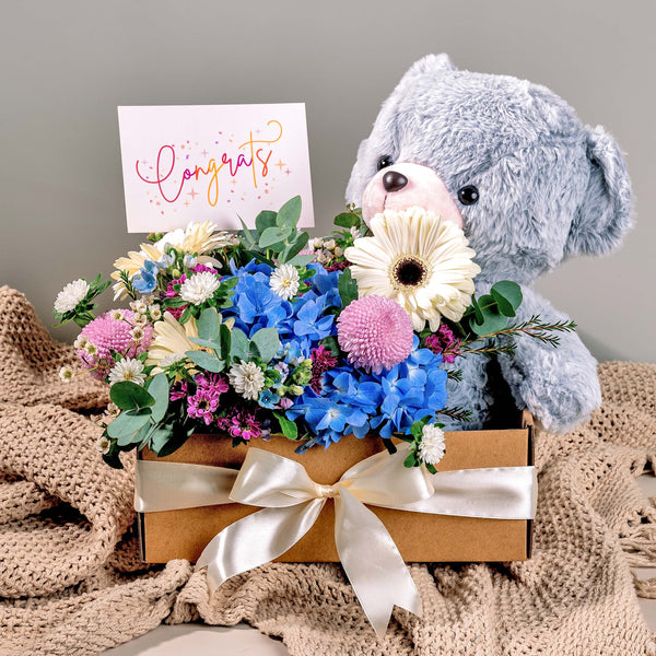 Bambino New Born Gift Set