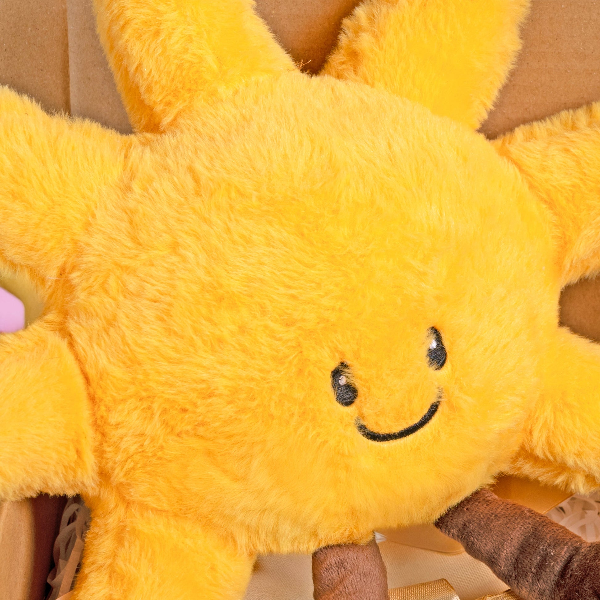 Happy Plush (Blind Box) Happy Bunch