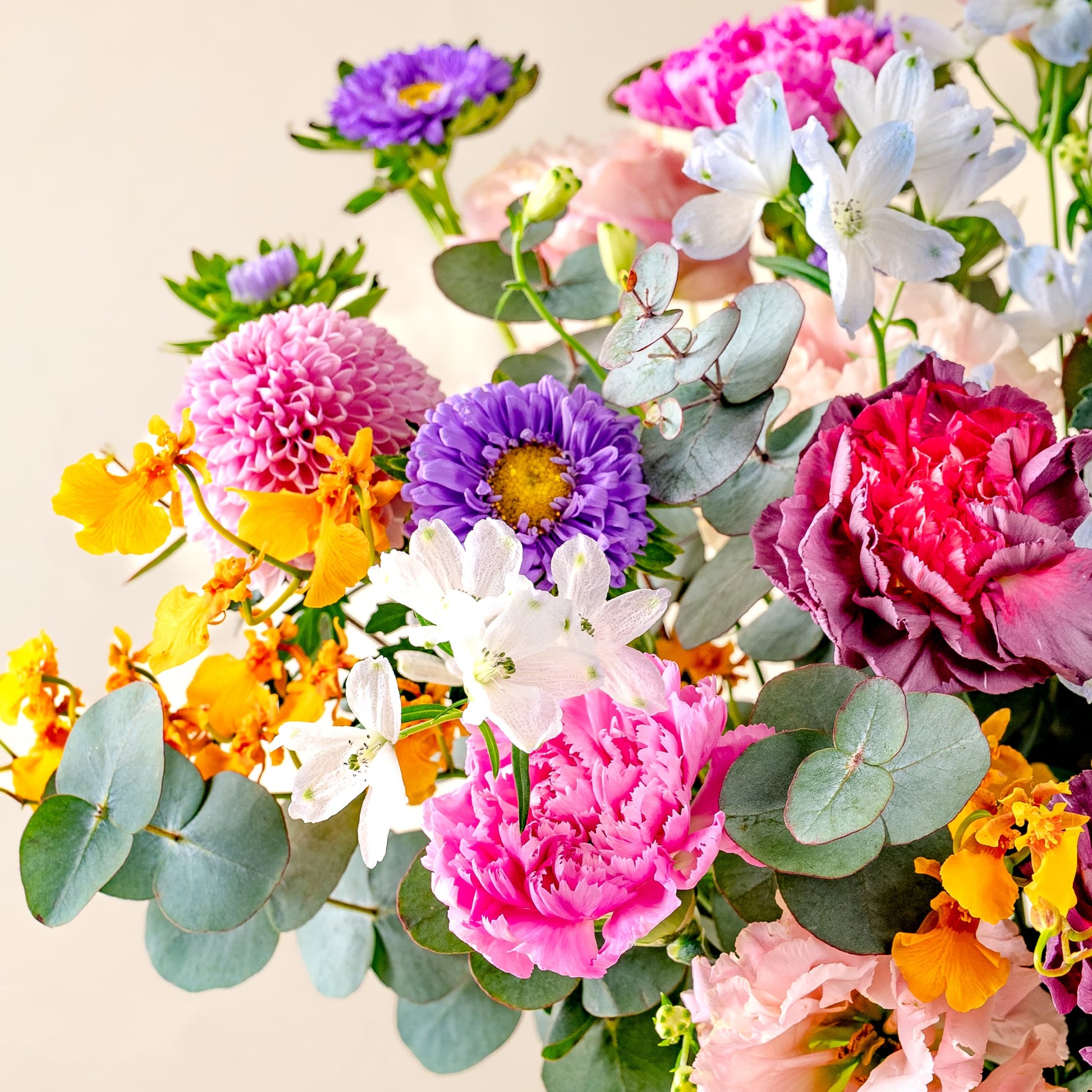 Aura Happy Bunch Malaysia