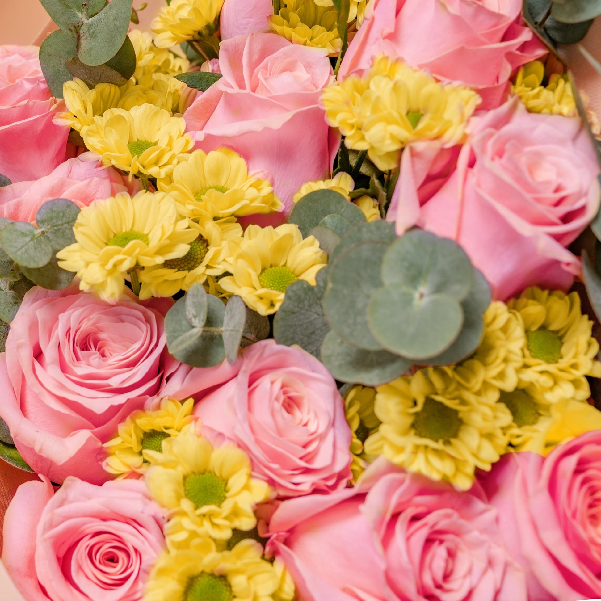 Love Me Tender (Medium) Happy Bunch Malaysia