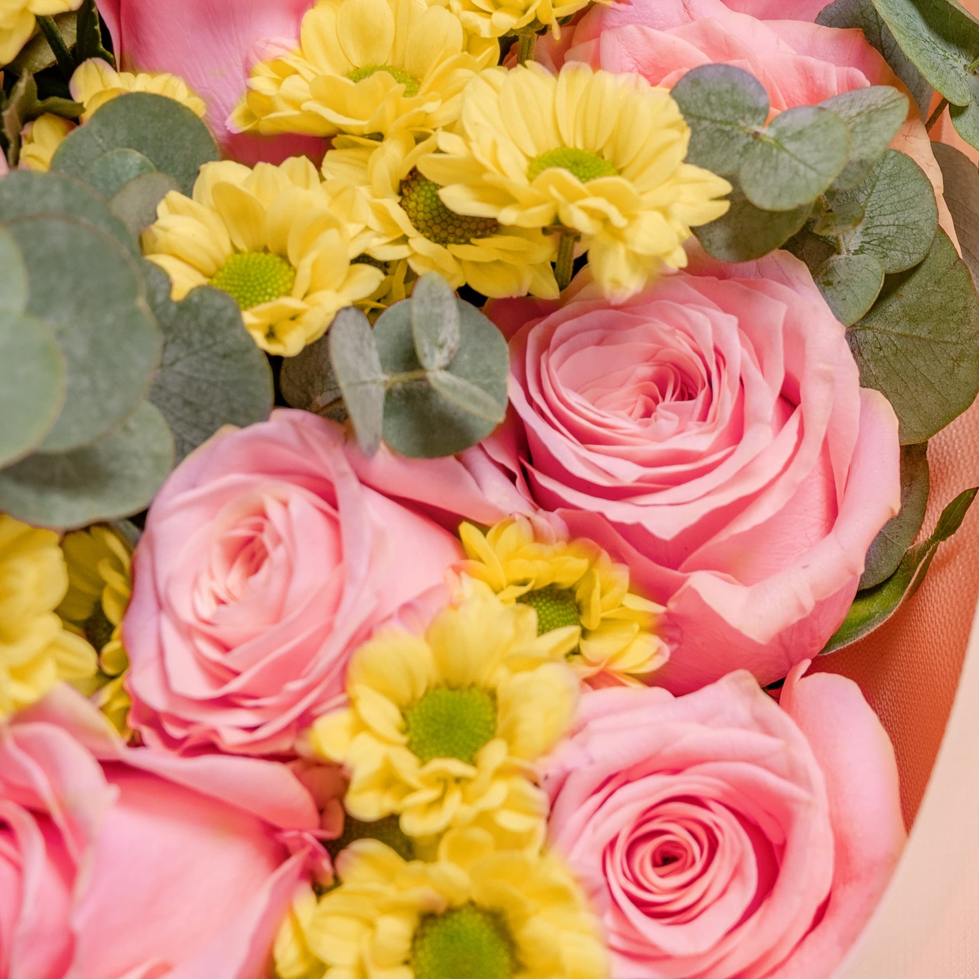 Love Me True Happy Bunch Malaysia