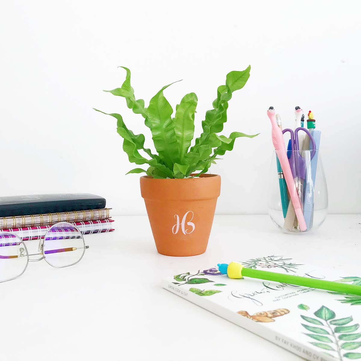 Fern Plant Happy Bunch