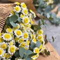 Rose Poms Bouquet Happy Bunch