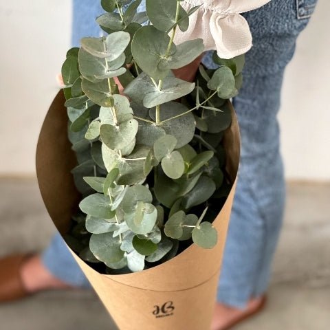 Eucalyptus Happy Bunch
