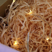 Fairy Lights view 2