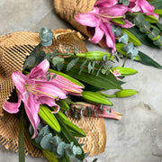 Lily view 5