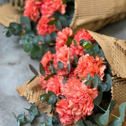 Orange Carnation view 5