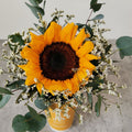 Sunny Sunflower - Happy Bunch Malaysia (1102420U)