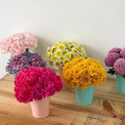 Mini Flower Bundles view 3